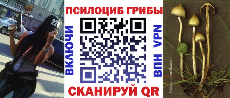Купить где  Котельнич  Псилоцибиновые грибы мухоморы 